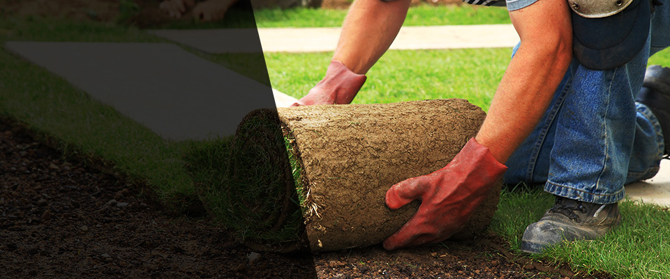 Lithonia Landscapers